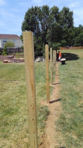 New posts for old fence